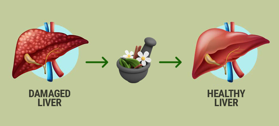 Liver Failure Treatment
